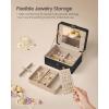 imageSONGMICS Jewelry Box Travel Jewelry Case 2Layer Jewelry Holder Organizer Portable Versatile Earring Storage for Small Accessories Jelly Pink UJBC185R02Ink Black