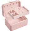 imageSONGMICS Jewelry Organizer Box Travel Jewelry Case 2Layer Travel Case for Earrings Necklaces Bracelets  Portable Jewelry Storage with Large Capacity Gift Idea Cloud White UJBC166W01Jelly Pink