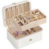 imageSONGMICS Jewelry Organizer Box Travel Jewelry Case 2Layer Travel Case for Earrings Necklaces Bracelets  Portable Jewelry Storage with Large Capacity Gift Idea Cloud White UJBC166W01Cloud White