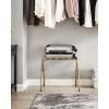 imageSONGMICS Luggage Rack Luggage Rack for Guest Room Suitcase Stand Steel Frame Foldable for Bedroom Gray URLR64GSGolden