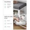 imageSONGMICS Shoe Bench Storage Bench Entryway Bench with Cushion Shoe Shelf with Seat SpaceSaving Modern Style for Living Room Bedroom Hallway Dark Gray and Ink Black ULBS57GYZDark Gray  Cloud White