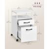 imageVASAGLE File Cabinet Mobile Filing Cabinet with Wheels 2 Lockable Drawers Open Shelf for A4 Letter Size Hanging File Folders Ink Black UOFC077B16Cloud White