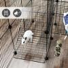 imageSONGMICS Pet Playpen Small Animal Playpen Rabbit Guinea Pig Cage Zip Ties Included Metal Wire ApartmentStyle TwoStory Pet Premium Villa for Bunnies Puppies Indoor Use Black ULPI02HBlack