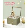 imageSONGMICS GISELLA Collection  Jewelry Box Organizer 3Layer Jewelry Storage with 2 Drawers Shiny Metal Hardware Glass Lid Modern 8 x 91 x 53 Inches Jelly Pink and Gold Color UJBC239SA01SAvocado Green  Gold
