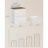 imageSONGMICS BELLAH Collection  Dressers for Bedroom Chest of Drawers Nightstands 2 Drawers Storage Organizer Unit Closet Entryway Set of 2 Modern Cloud White and Snow White ULGS112WH03SRustic White  Honey Brown