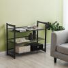 imageSONGMICS Shoe Rack 6Tier Shoe Organizer Metal Rack for Garage Set of 2 3Tier Stackable Shelf with Adjustable Flat or Angled Shelves 1824 Pairs Bronze ULMR03A2Ink Black
