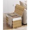 imageSONGMICS Storage Basket with Lid Woven Blanket Storage Bin with Handles Foldable Removable Liner Metal Frame for Bedroom Laundry Room 92 Gallons 35 L Natural URST040YE01Natural