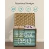 imageSONGMICS Storage Basket with Lid Woven Blanket Storage Bin with Handles Foldable Removable Liner Metal Frame for Bedroom Laundry Room 92 Gallons 35 L Natural URST040YE01Natural