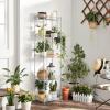 imageSONGMICS Metal Storage Shelves 5Tier Wire Shelving Unit Kitchen Rack Adjustable Shelves 4 Hooks Shelf Liners 118 x 157 x 591 Inches Total Load Capacity 220 lb for Garage Silver ULGR105E01Silver